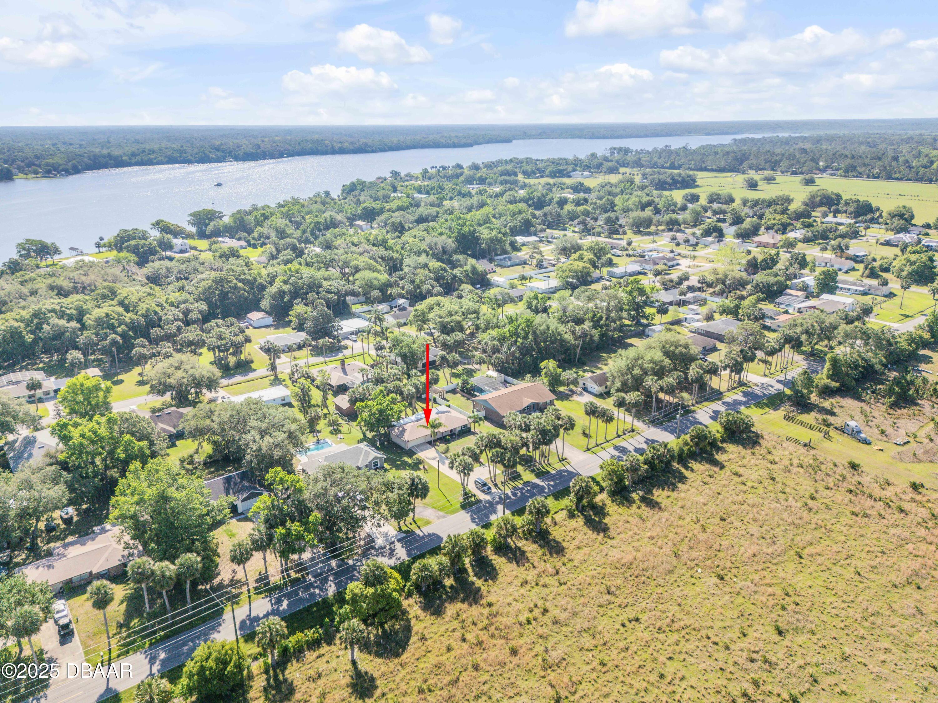 1617 Hontoon Road DeLand, FL 32720 - Photo 40 of 43 a view of a bunch of trees and bushes