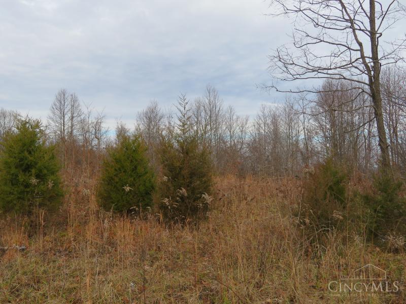 7730 Beavers Ridge Road Piketon, OH 45661 - Photo 2 of 15