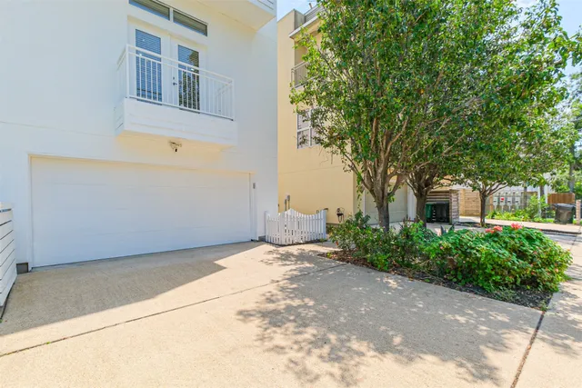 a view of a backyard with plants and large tree