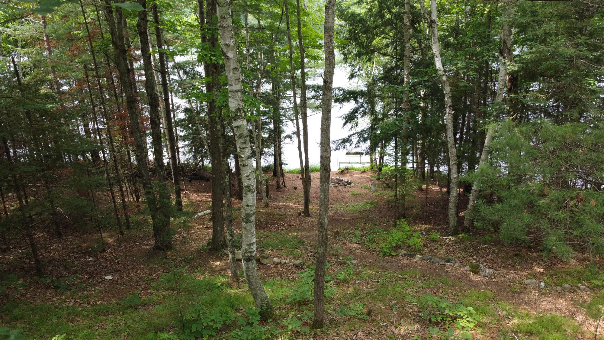 N7791 Pence Lake Road Deerbrook, WI 54424 - Photo 67 of 75 Gallery Image 67