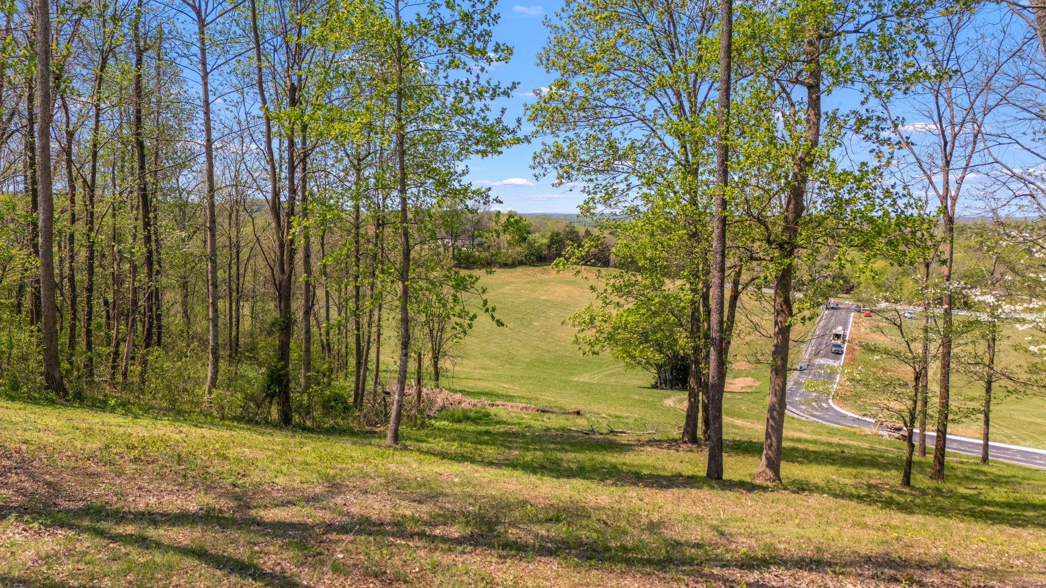 0 Whiteside Hill Road Wartrace, TN 37183 - Photo 33 of 38