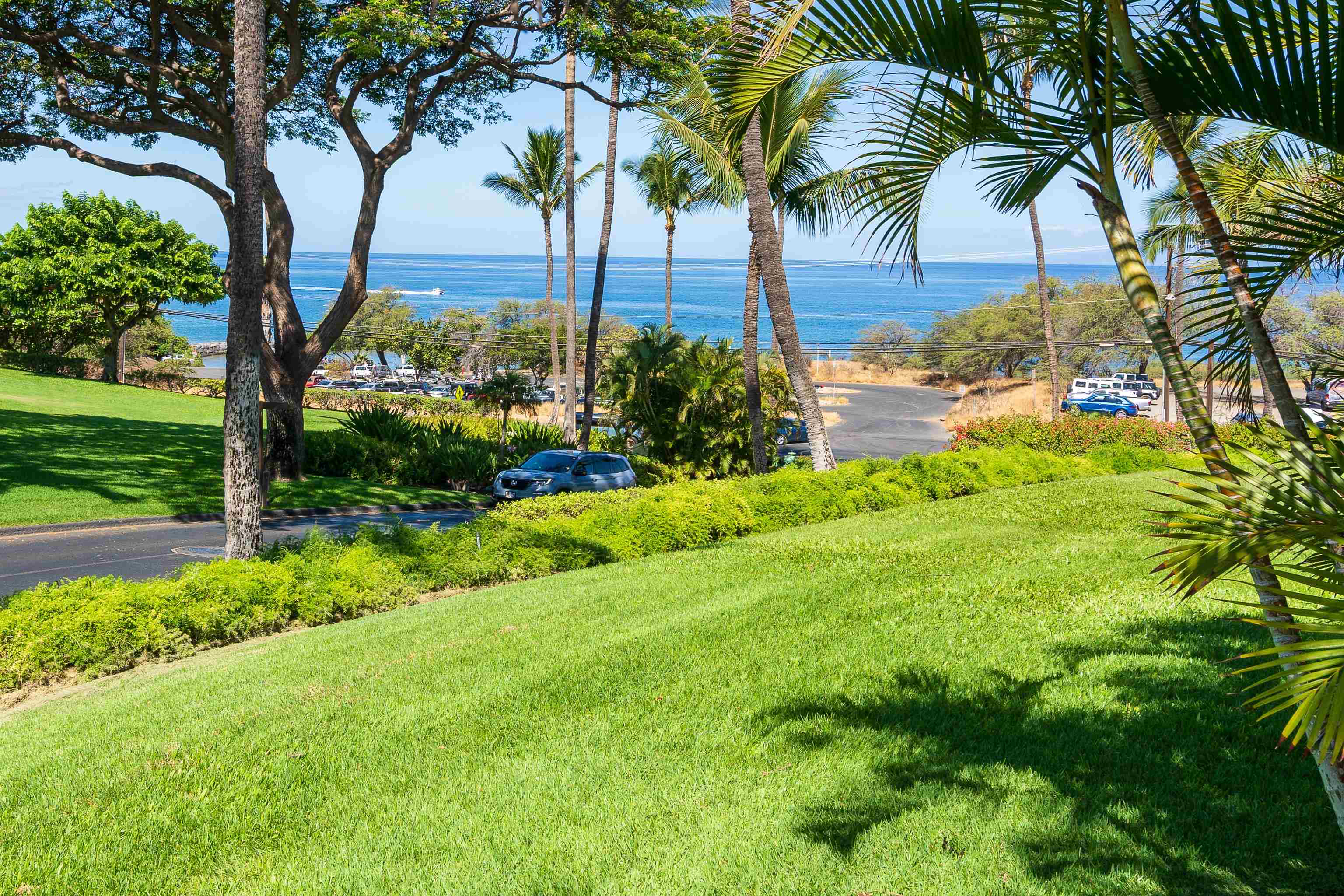 2777 South Kihei Road, Unit G101 Kihei, HI 96753 - Photo 2 of 32 a view of three palm trees
