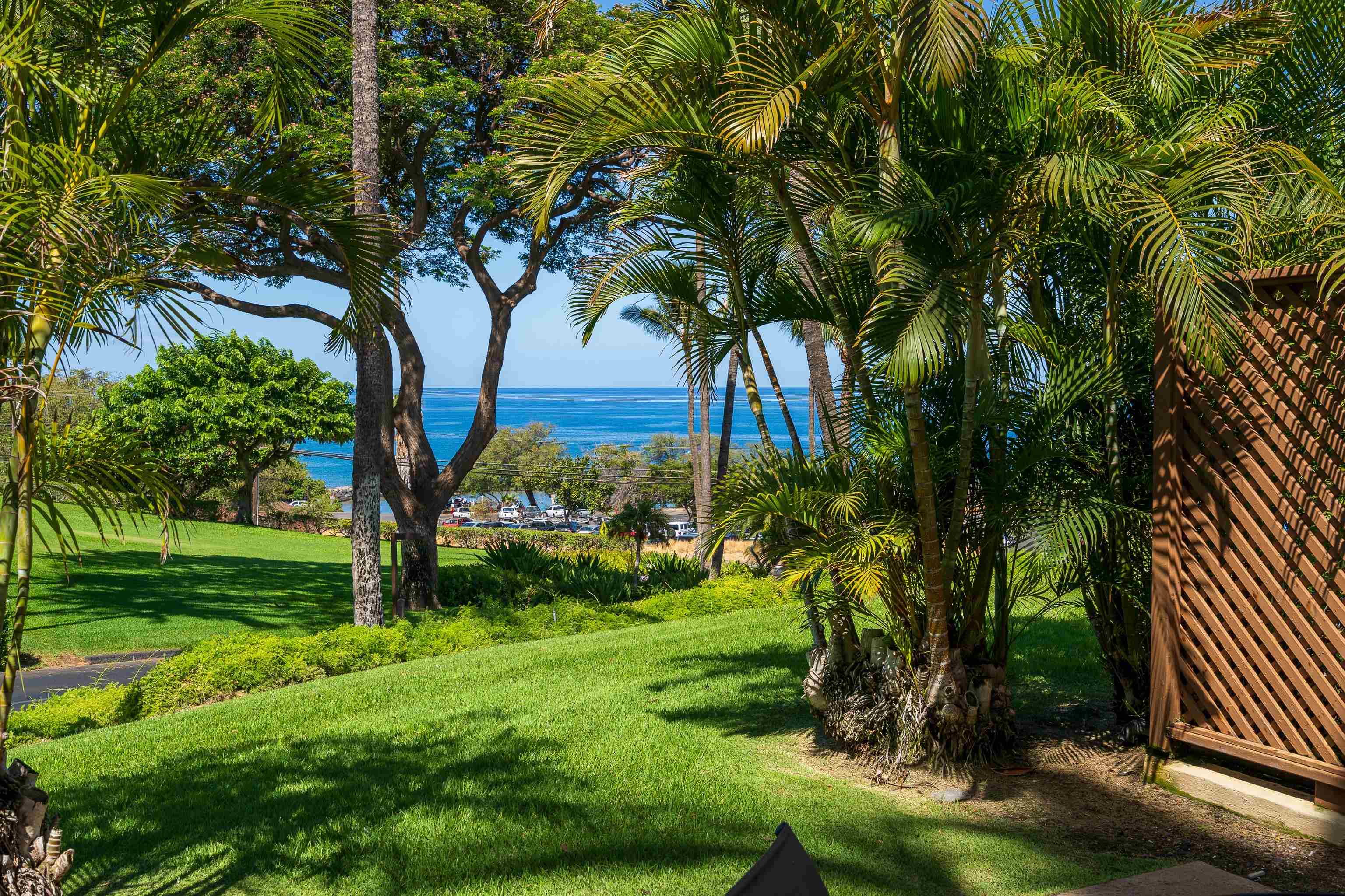 2777 South Kihei Road, Unit G101 Kihei, HI 96753 - Photo 24 of 32 a view of a backyard with large trees