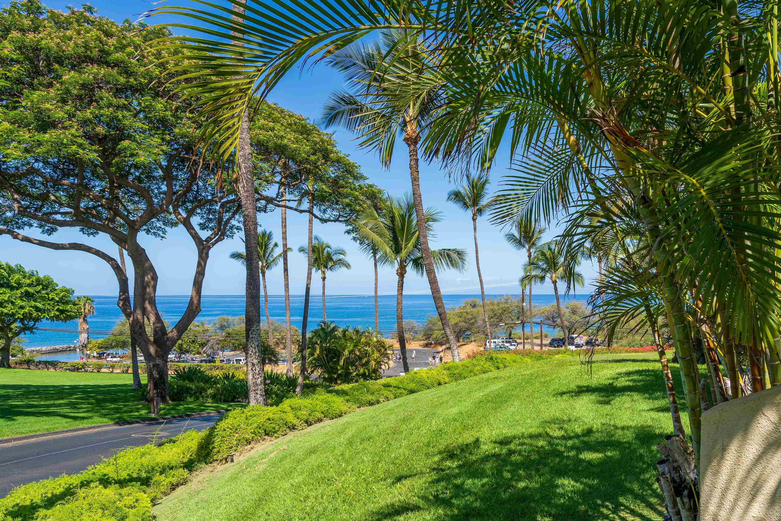 2777 South Kihei Road, Unit G101 Kihei, HI 96753 - Photo 25 of 32 a view of a park with palm trees