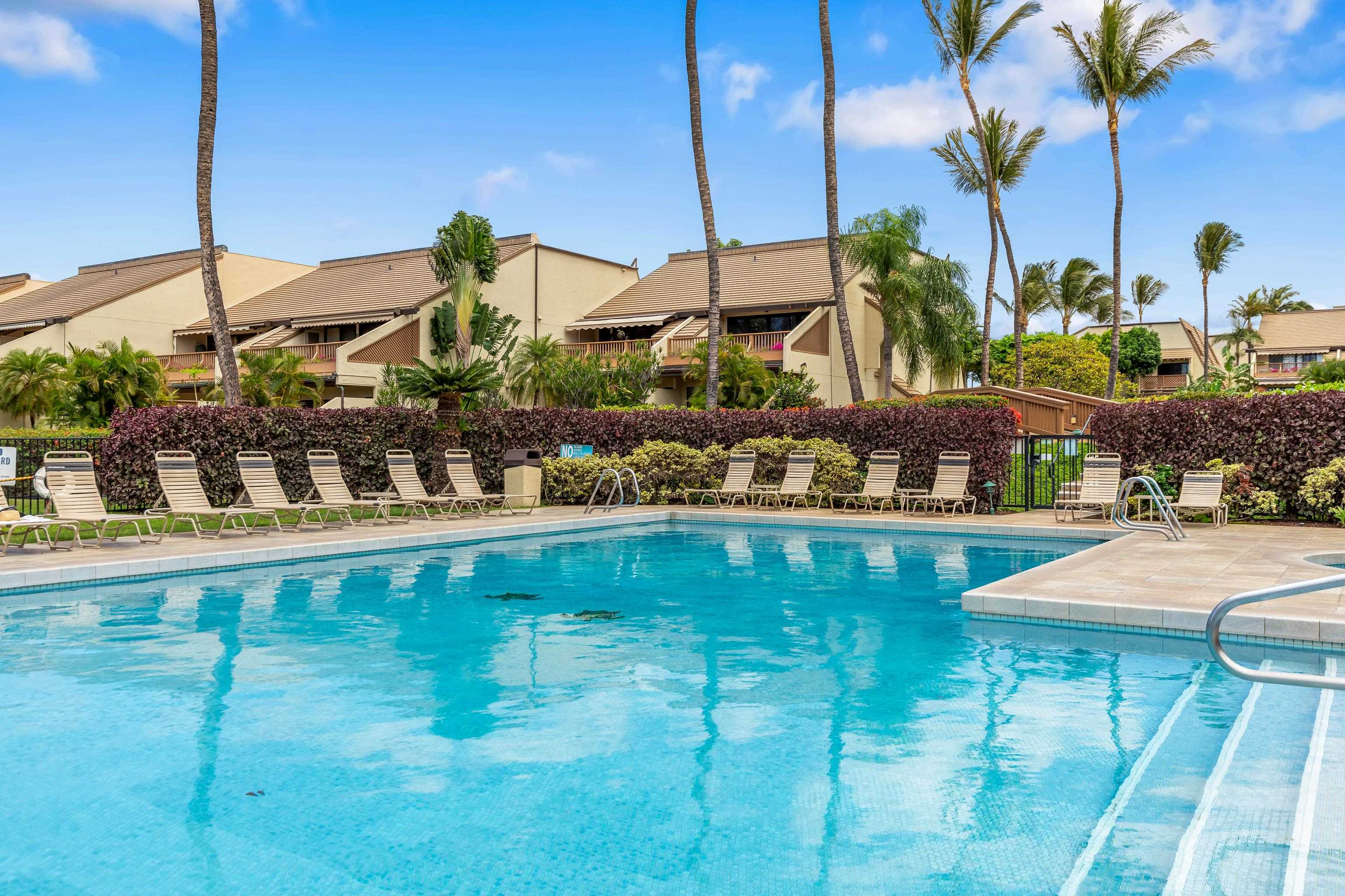 2777 South Kihei Road, Unit G101 Kihei, HI 96753 - Photo 31 of 32 a view of outdoor space