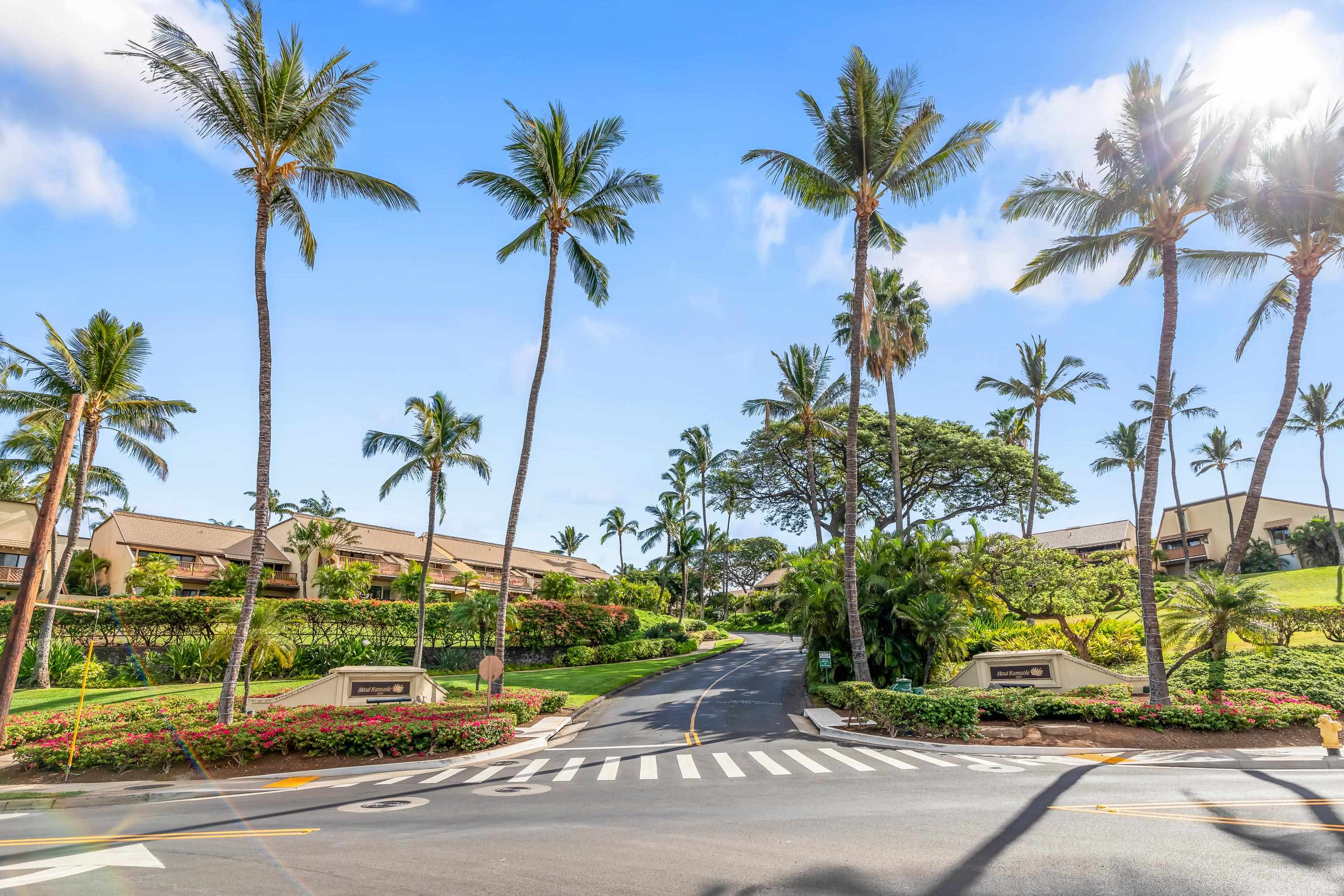 2777 South Kihei Road, Unit G101 Kihei, HI 96753 - Photo 32 of 32 a view of a palm tree with a park