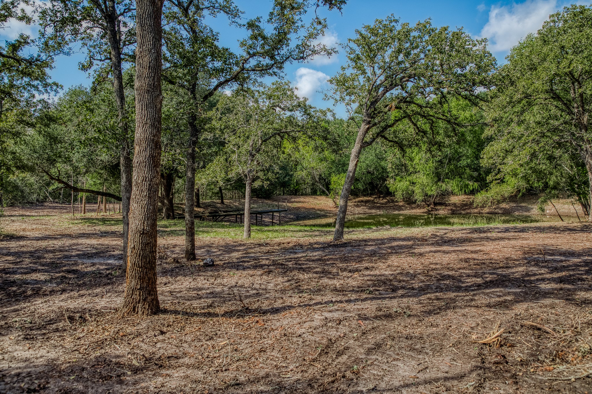 6 Sun Oil Road Brenham, TX 77833 - Photo 16 of 34 a view of a park