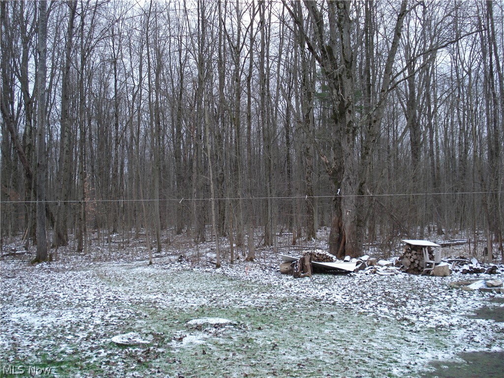 5678 Anderson Road Pierpont, OH 44082 - Photo 13 of 18 Gallery Image 13