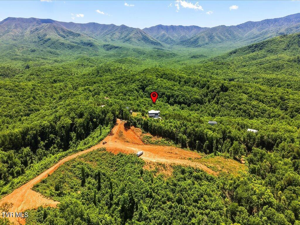 270 Sonshine Ridge Road Cosby, TN 37722 - Photo 72 of 75 270 Sonshine Ridge Road - 73