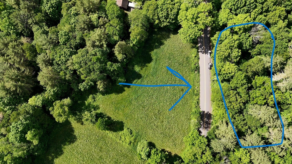 a view of a garden