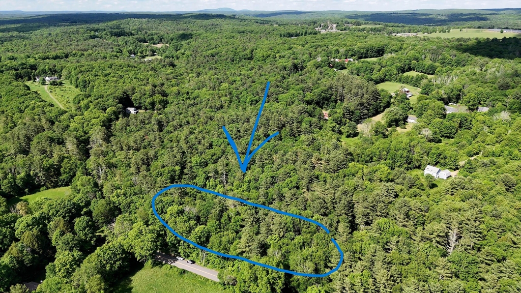 0 Brooks Pond Road Spencer, MA 01562 - Photo 2 of 10 view of a lush green forest with lots of trees