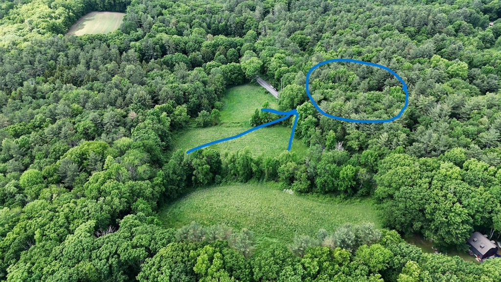 0 Brooks Pond Road Spencer, MA 01562 - Photo 5 of 10 a view of a lush green forest with lots of trees