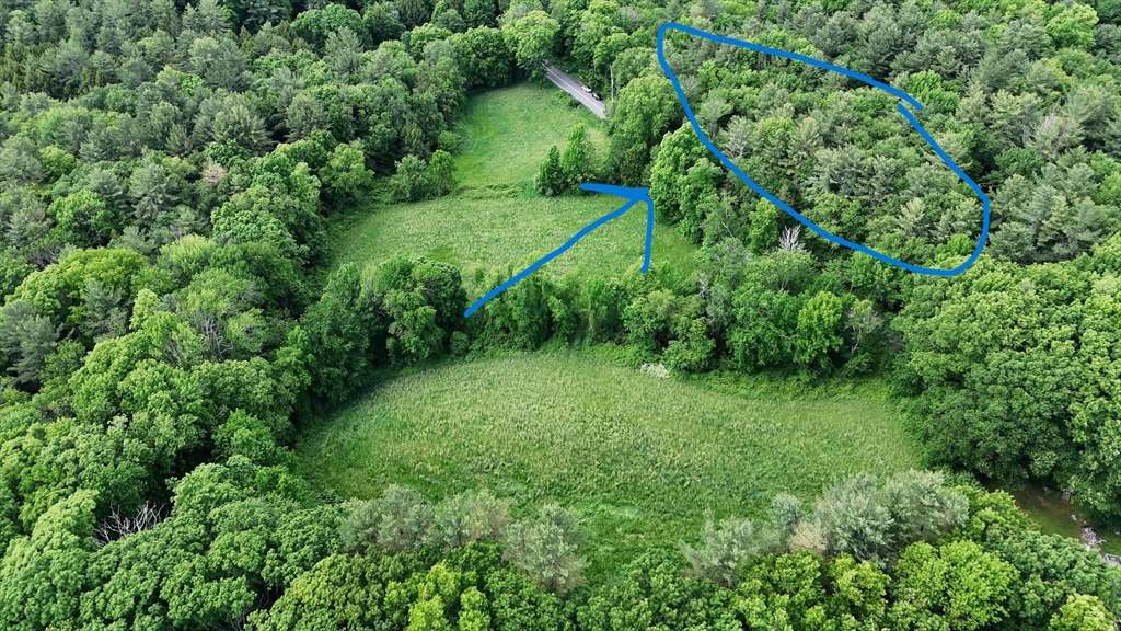 0 Brooks Pond Road Spencer, MA 01562 - Photo 6 of 10 a view of a lush green forest