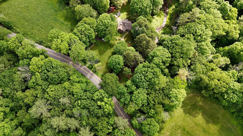 0 Brooks Pond Road Spencer, MA 01562 - Photo 10 of 10 view of a lush green forest with lots of trees