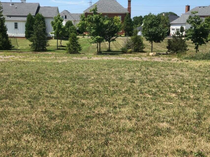 3945 Ebrington Road New Albany, OH 43054 - Photo 2 of 4 20240715180557142429000000-o (1)