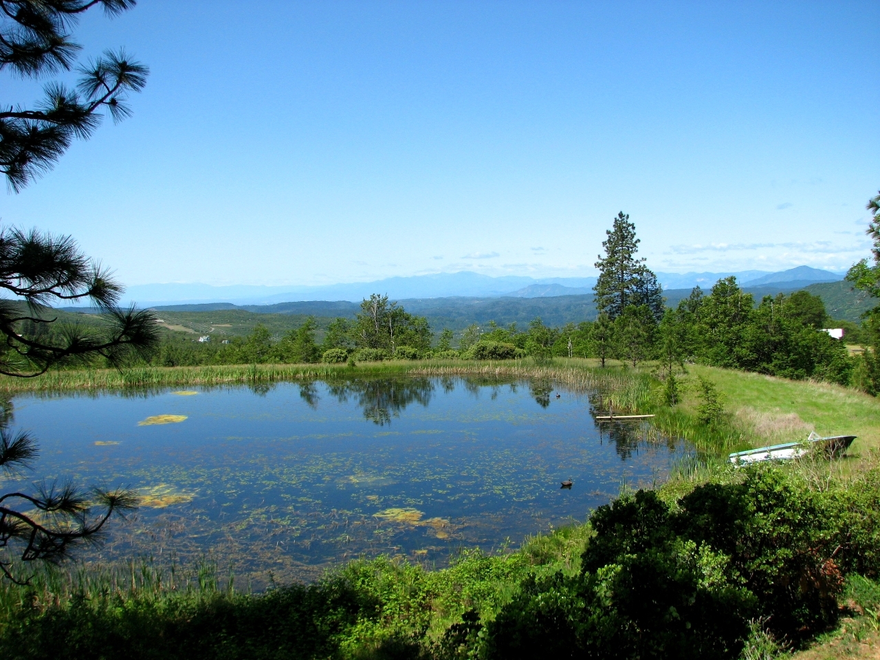 Upper pond