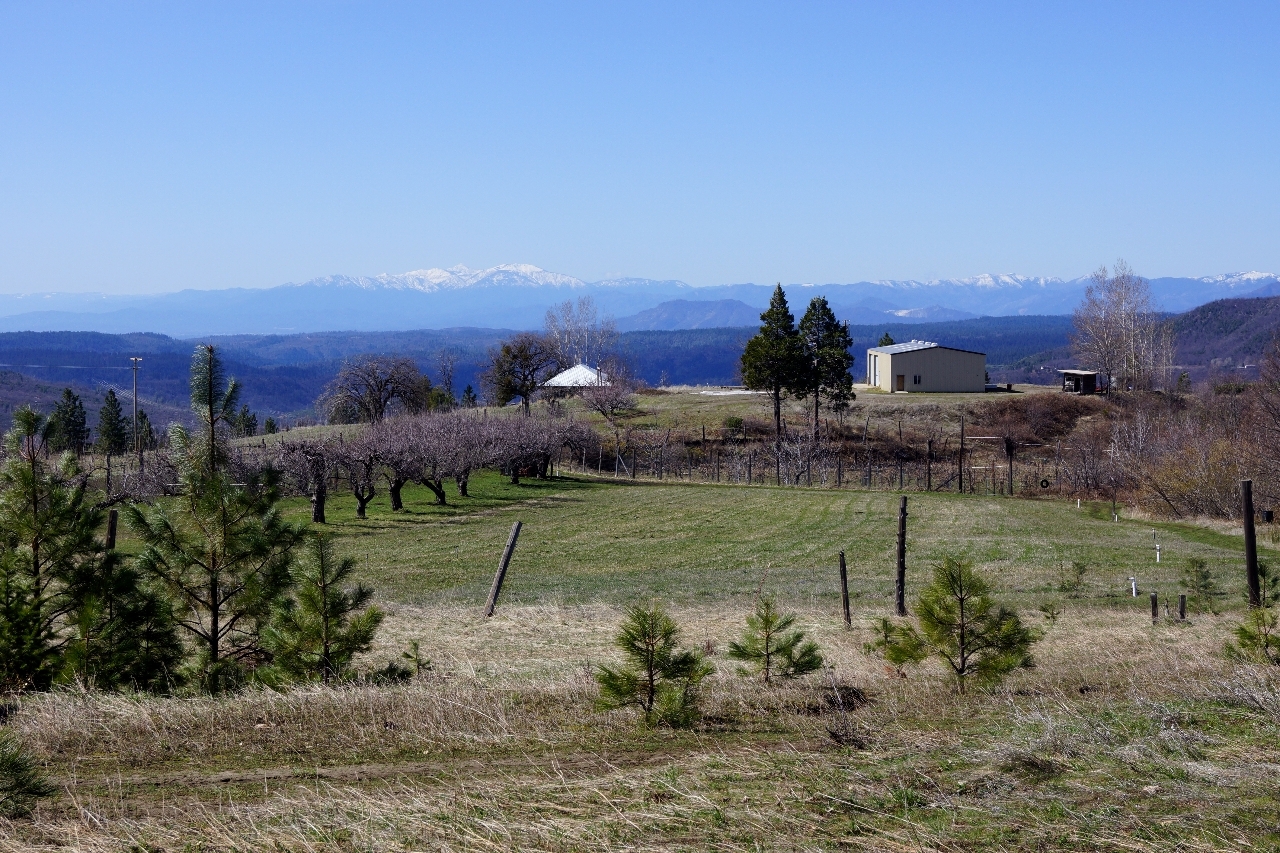 30612 Colbert Rnch Road Montgomery Creek, CA 96065 - Photo 33 of 36 Willow Creek Ranch - Mar 8, 2013 (27)