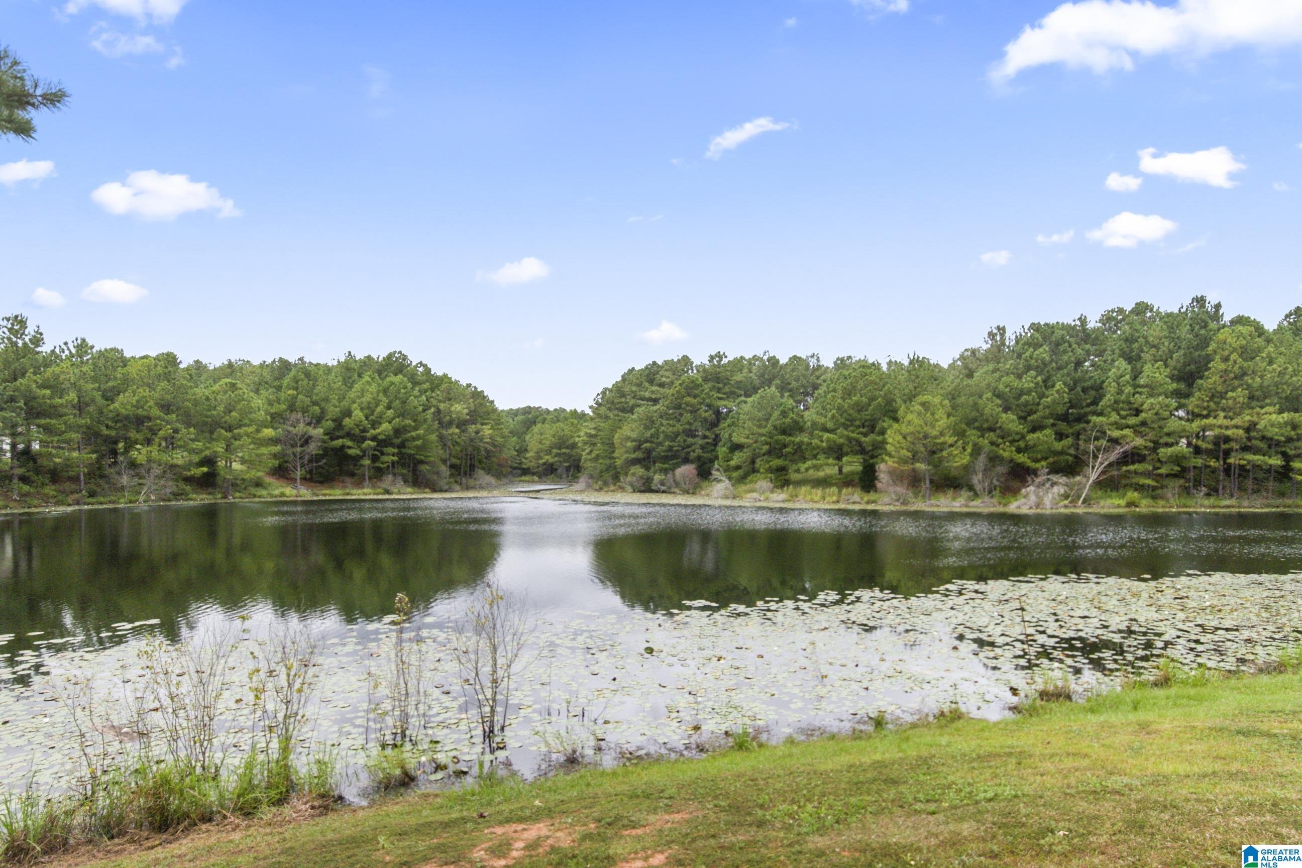 11446 Crimson Ridge Road Brookwood, AL 35444 - Photo 36 of 38