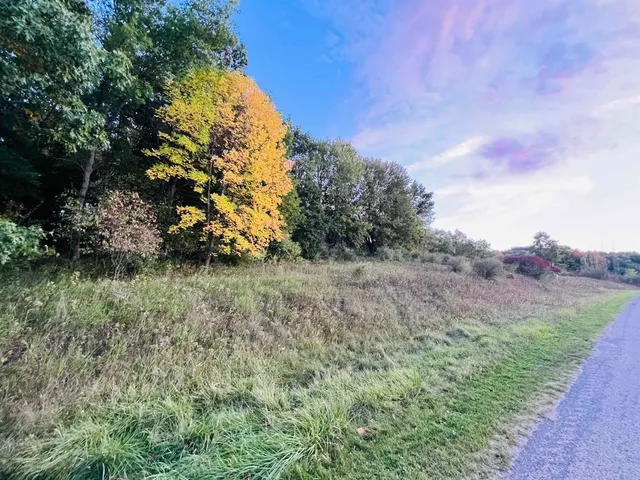 $9,999 | L171 Black Forest Drive, La Valle, WI 53941