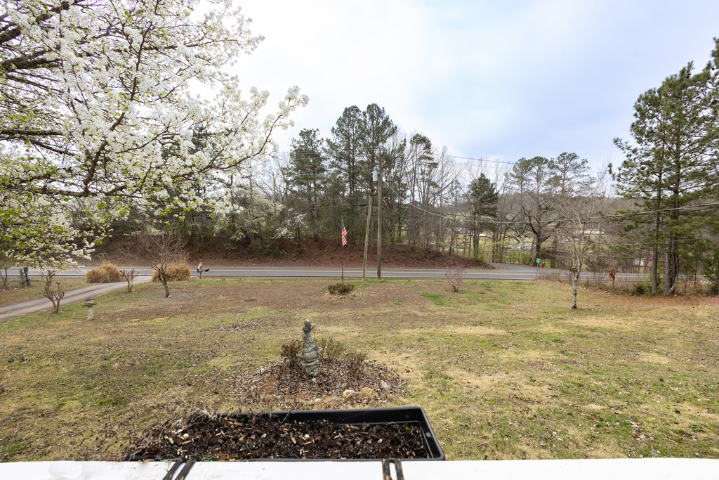 855 Cherokee Boys Estate Road Northeast Dalton, GA 30721 - Photo 8 of 46 Gallery Image 8