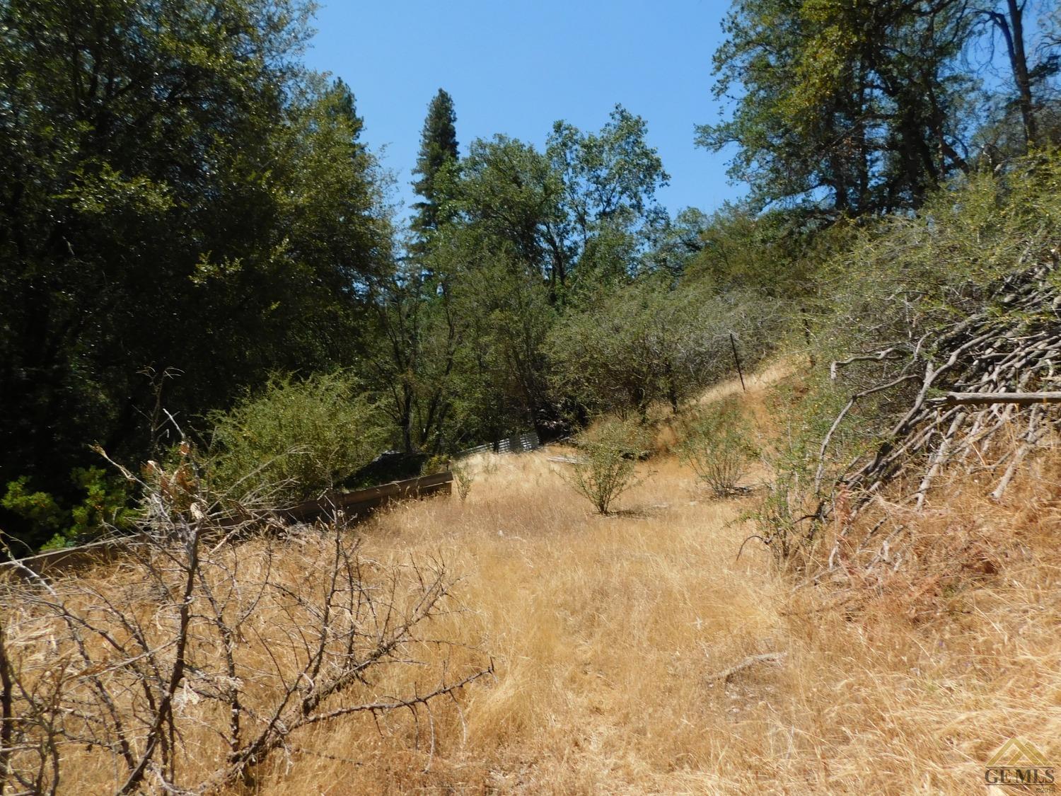 Undisclosed Address Posey, CA 93260 - Photo 49 of 50 a view of a yard covered with snow in outdoor space