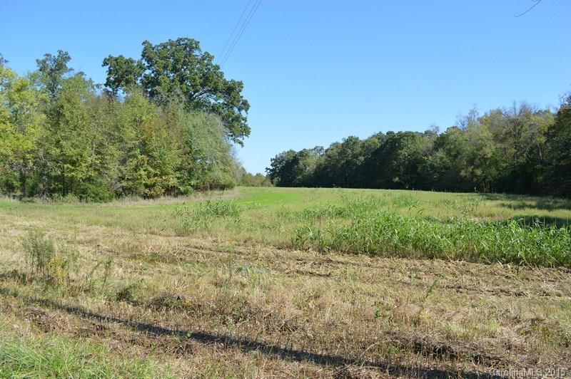 0 Sam Black Road Midland, NC 28107 - Photo 6 of 24 Gallery Image 6