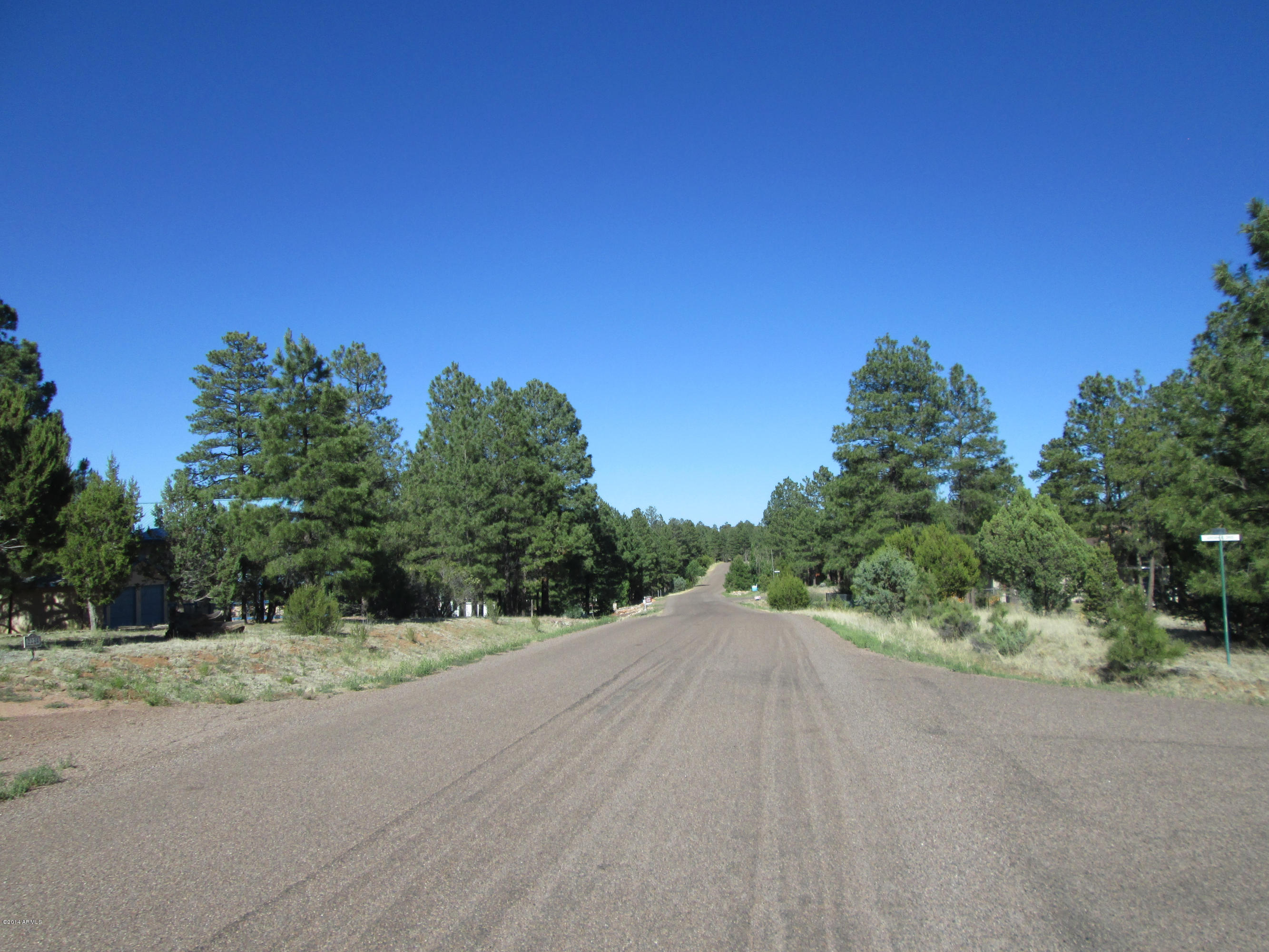 2220 Cross Country Road, Unit 183F Overgaard, AZ 85933 - Photo 3 of 8 IMG_0443