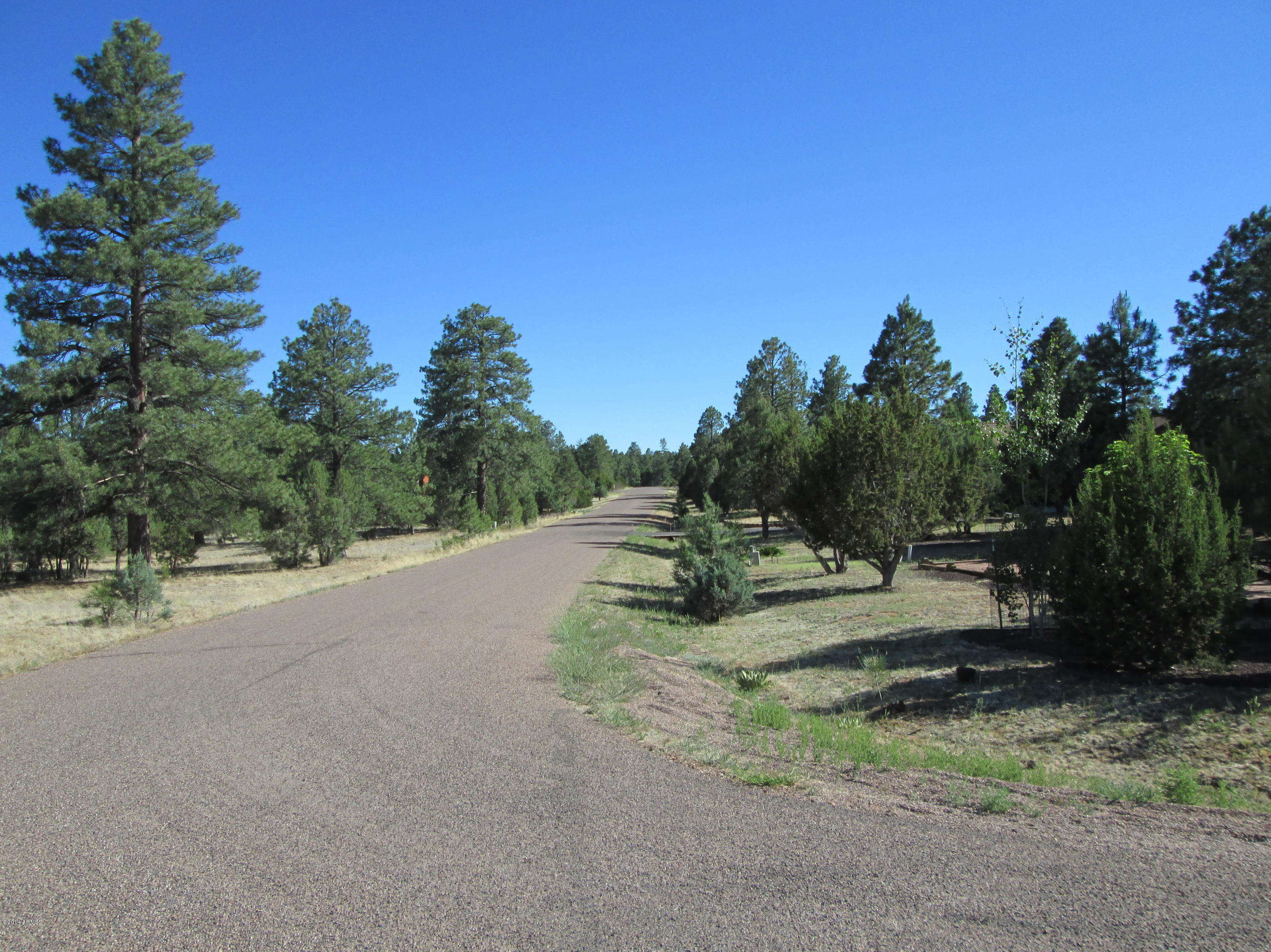2220 Cross Country Road, Unit 183F Overgaard, AZ 85933 - Photo 6 of 8 IMG_0446