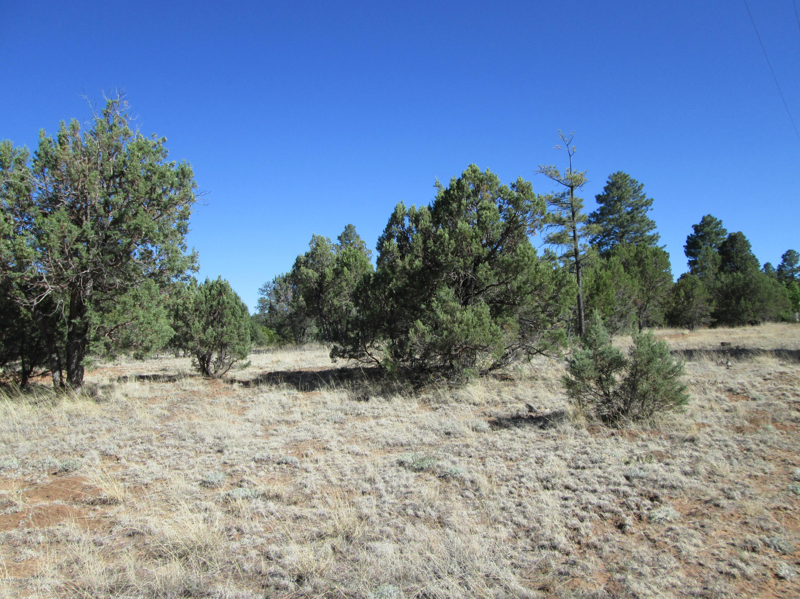 2220 Cross Country Road, Unit 183F Overgaard, AZ 85933 - Photo 8 of 8 IMG_0448