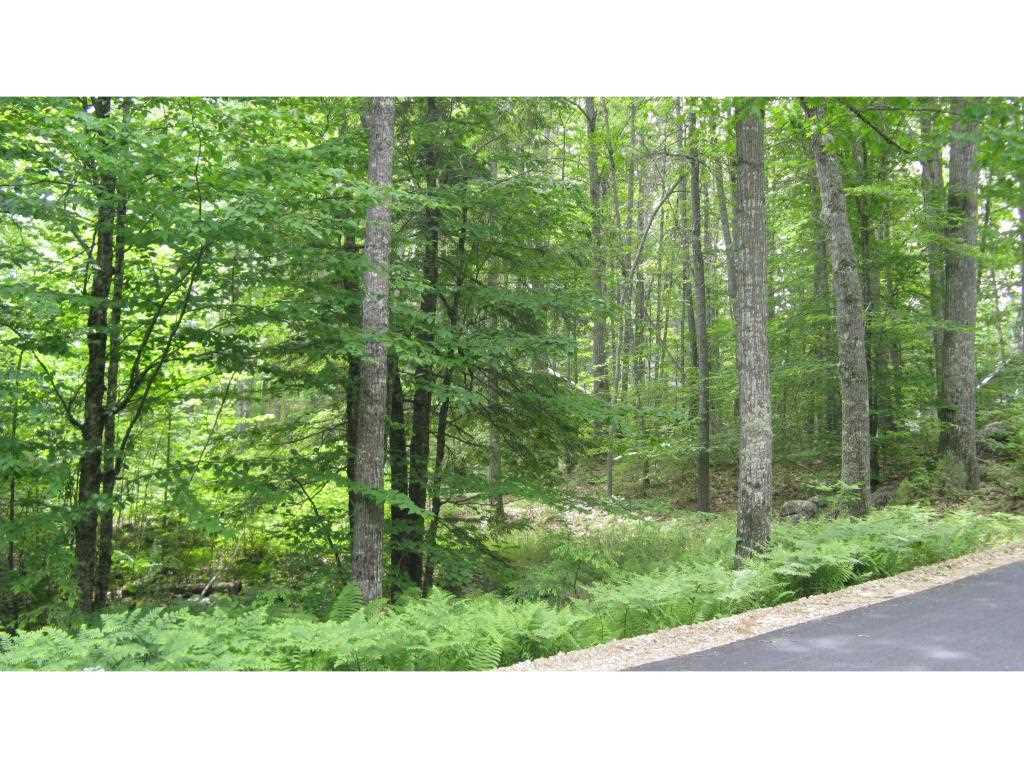 1 Colbath Road, Unit LOT 55 Barnstead, NH 03225 - Photo 1 of 5