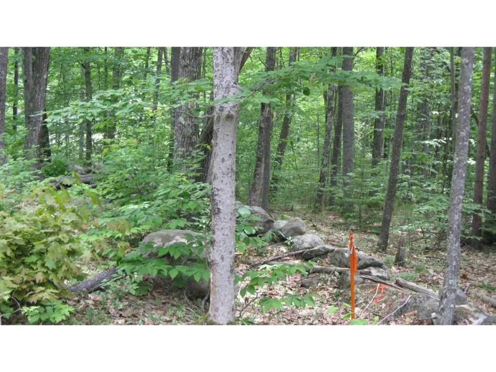 1 Colbath Road, Unit LOT 55 Barnstead, NH 03225 - Photo 4 of 5