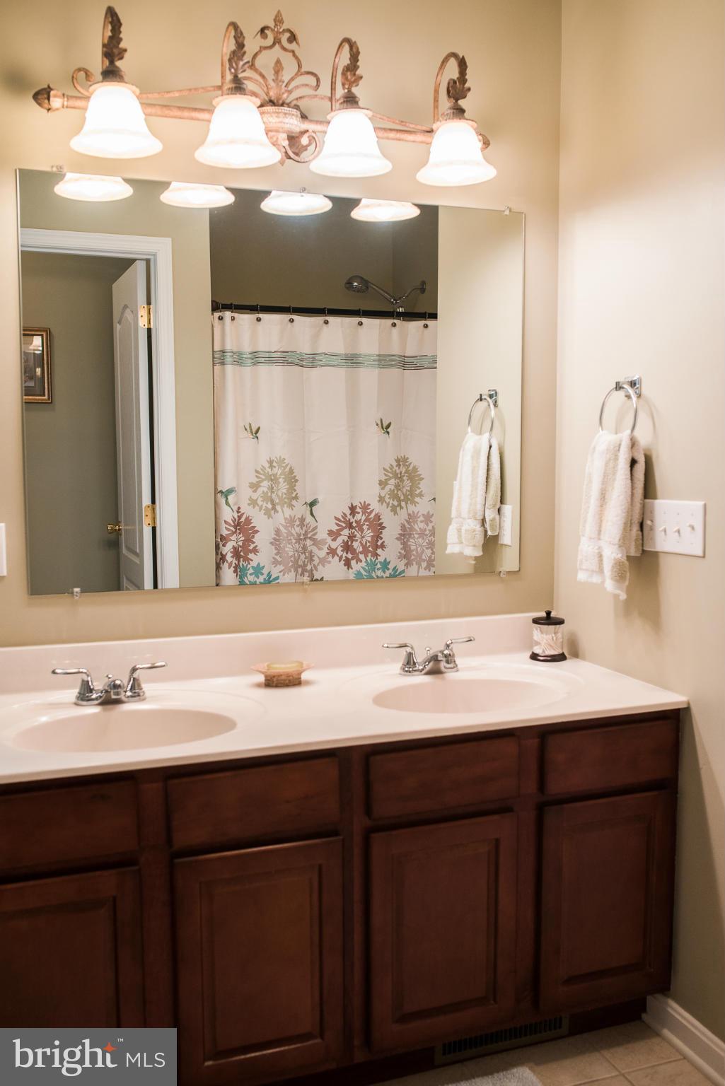 176 Pine Grove Road Hanover, PA 17331 - Photo 17 of 30 Bath (Master)