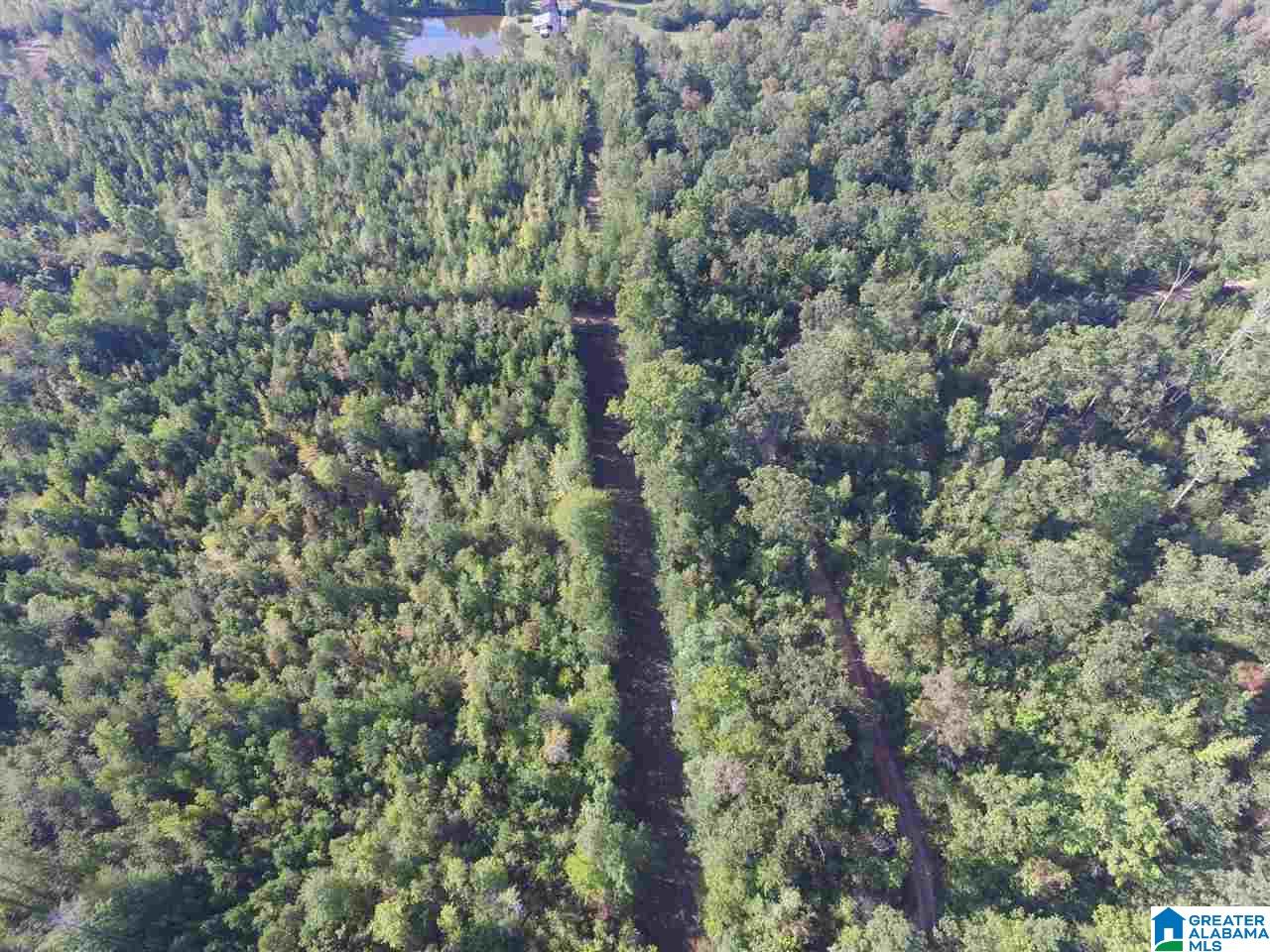 220 Gant Road, Unit 106 AC Pell City, AL 35128 - Photo 10 of 23