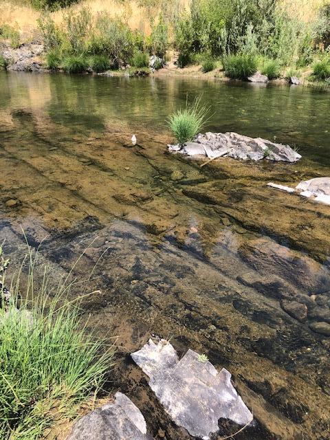 1313 Rockydale Road Cave Junction, OR 97523 - Photo 10 of 12 IMG_0485
