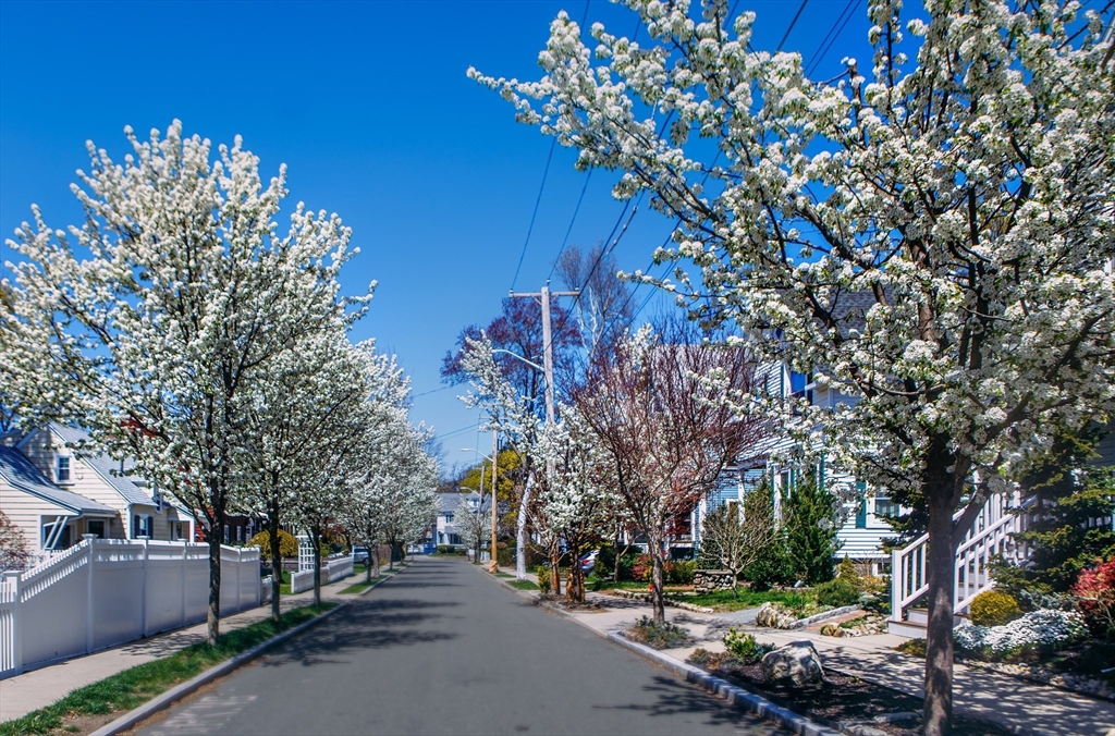 1 Sewall Street Melrose, MA 02176 - Photo 3 of 41