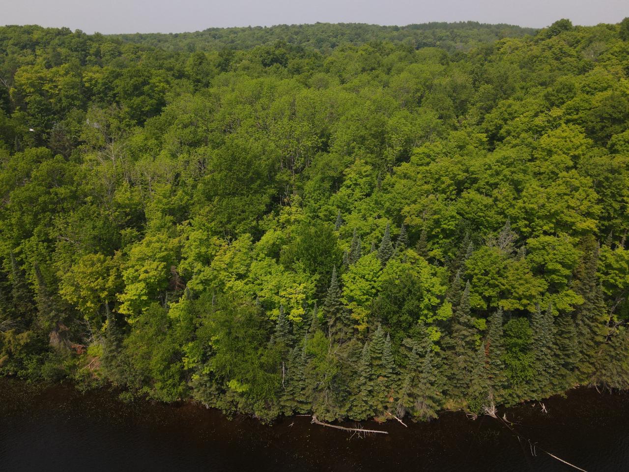 Tbd State Line Lake Road East, Unit 18 & 19 Marenisco, MI 49947 - Photo 26 of 27 Gallery Image 26