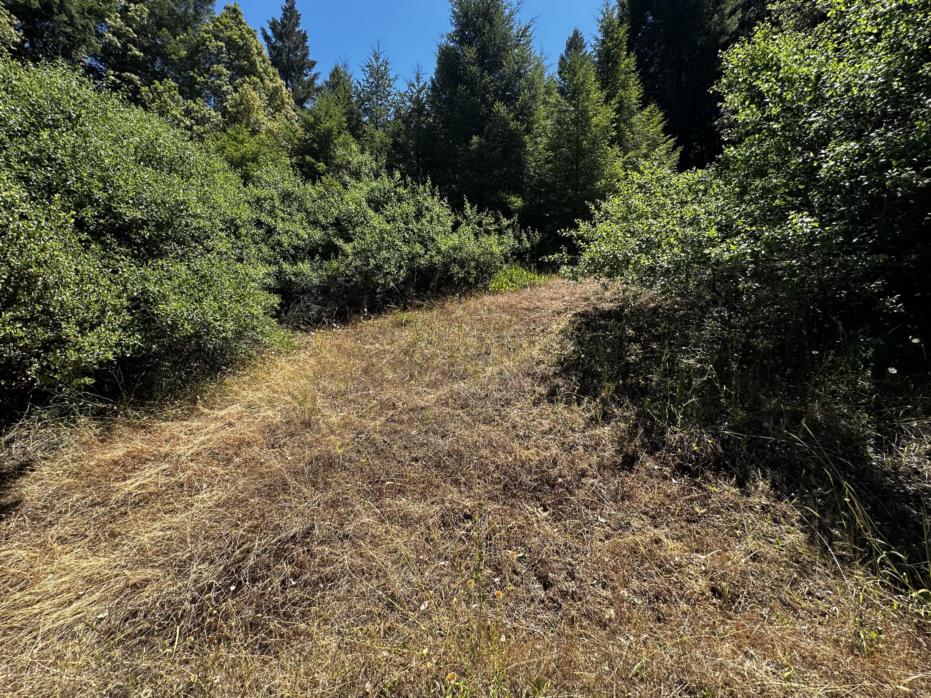 1055 Goodman Ranch Road Garberville, CA 95542 - Photo 57 of 63