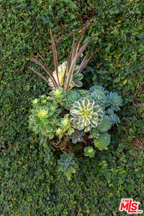 9770 San Circle Beverly Hills, CA 90210 - Photo 26 of 29 a backyard of a house with lots of green space