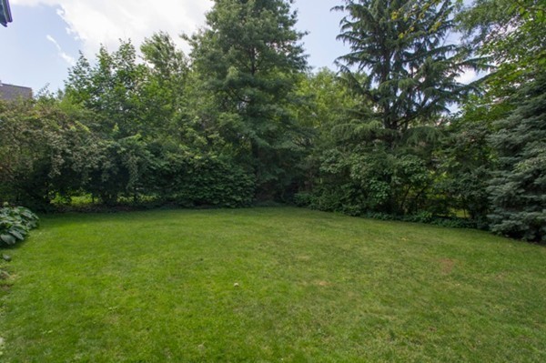 9 Salisbury Road Brookline, MA 02445 - Photo 4 of 25 Gallery Image 4