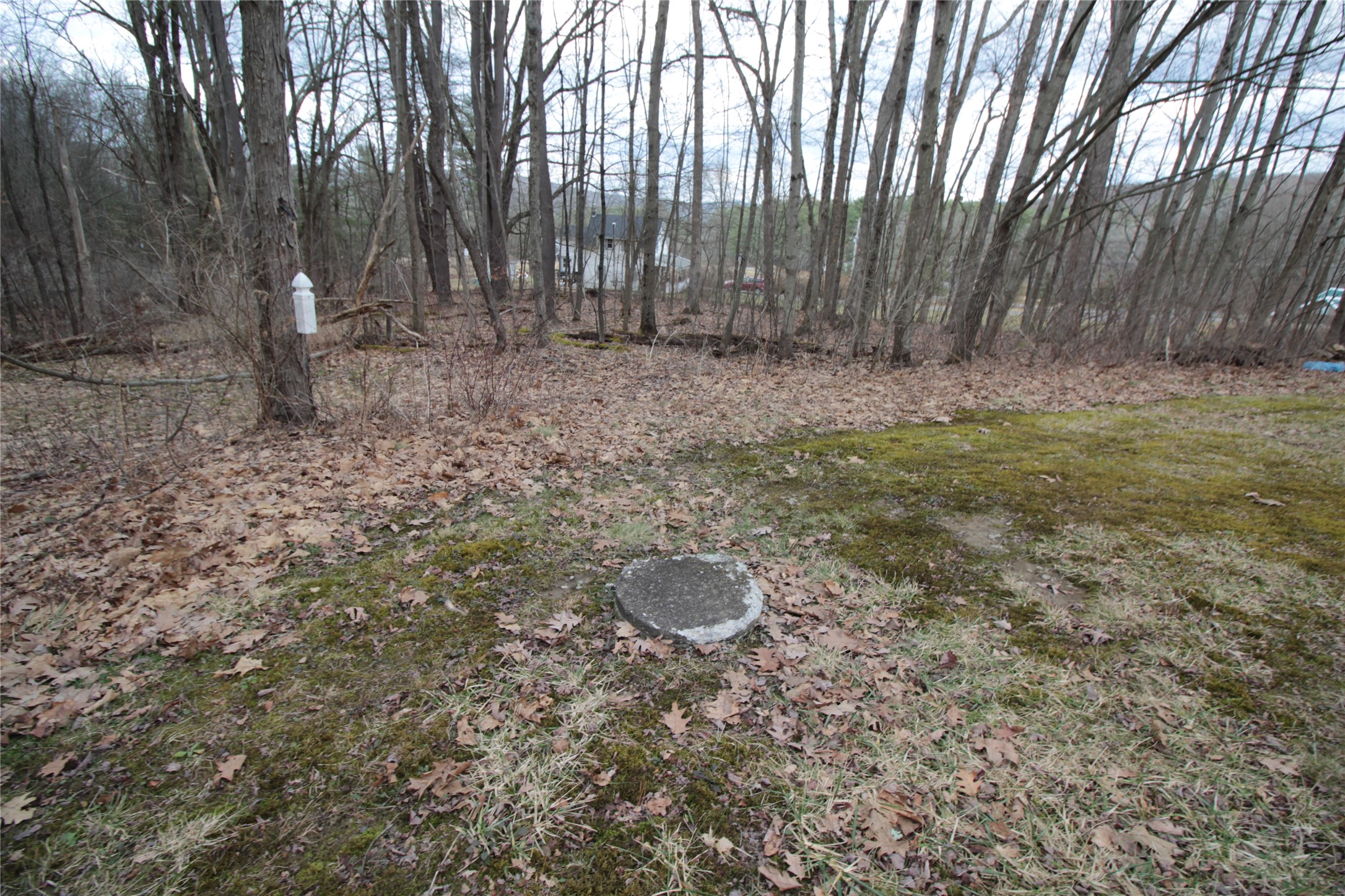 851 Nowlan Road Port Crane, NY 13833 - Photo 39 of 50