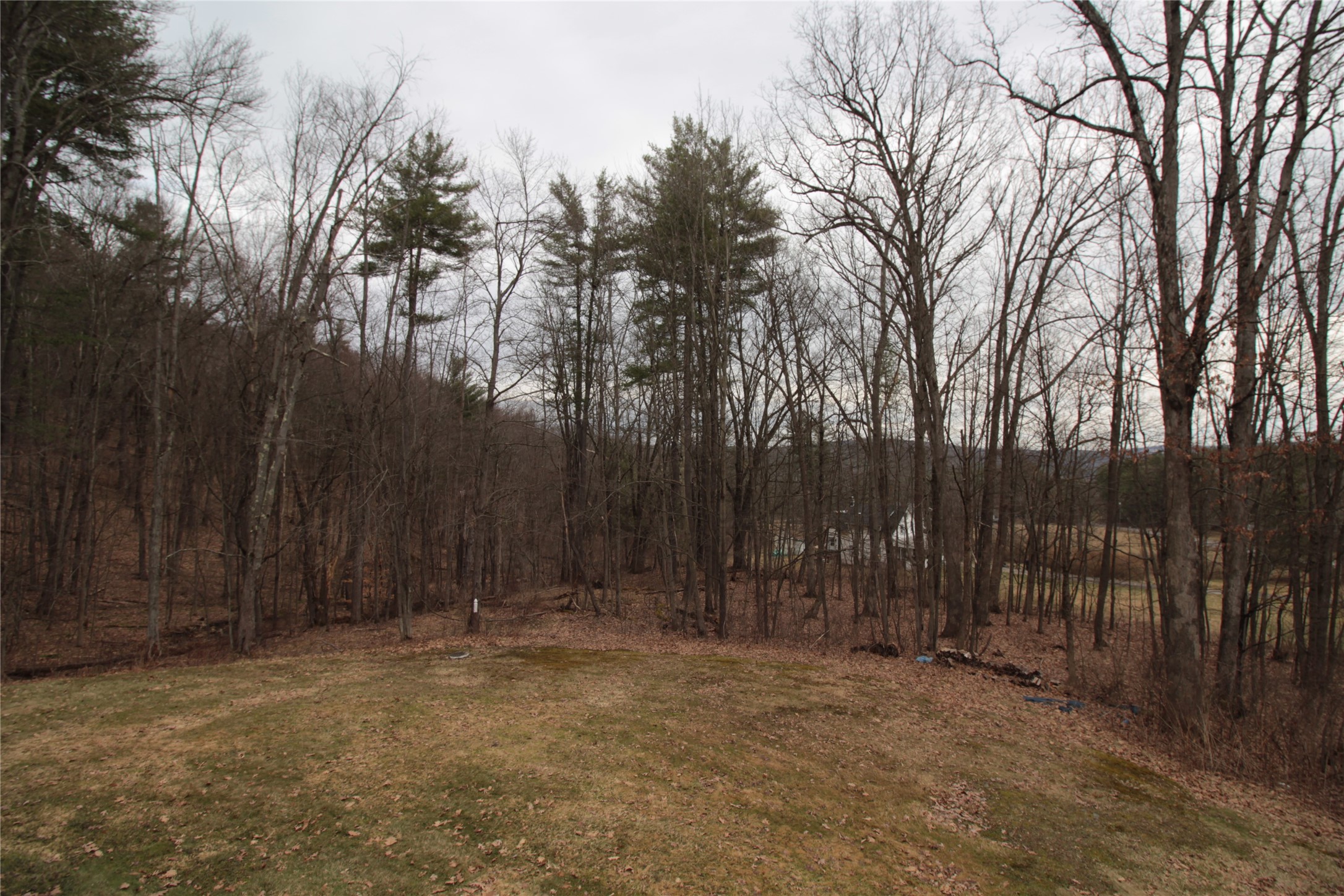 851 Nowlan Road Port Crane, NY 13833 - Photo 41 of 50