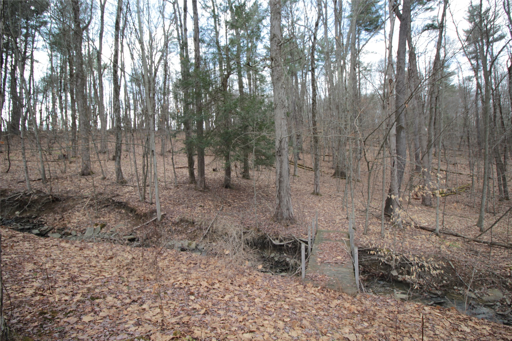 851 Nowlan Road Port Crane, NY 13833 - Photo 43 of 50