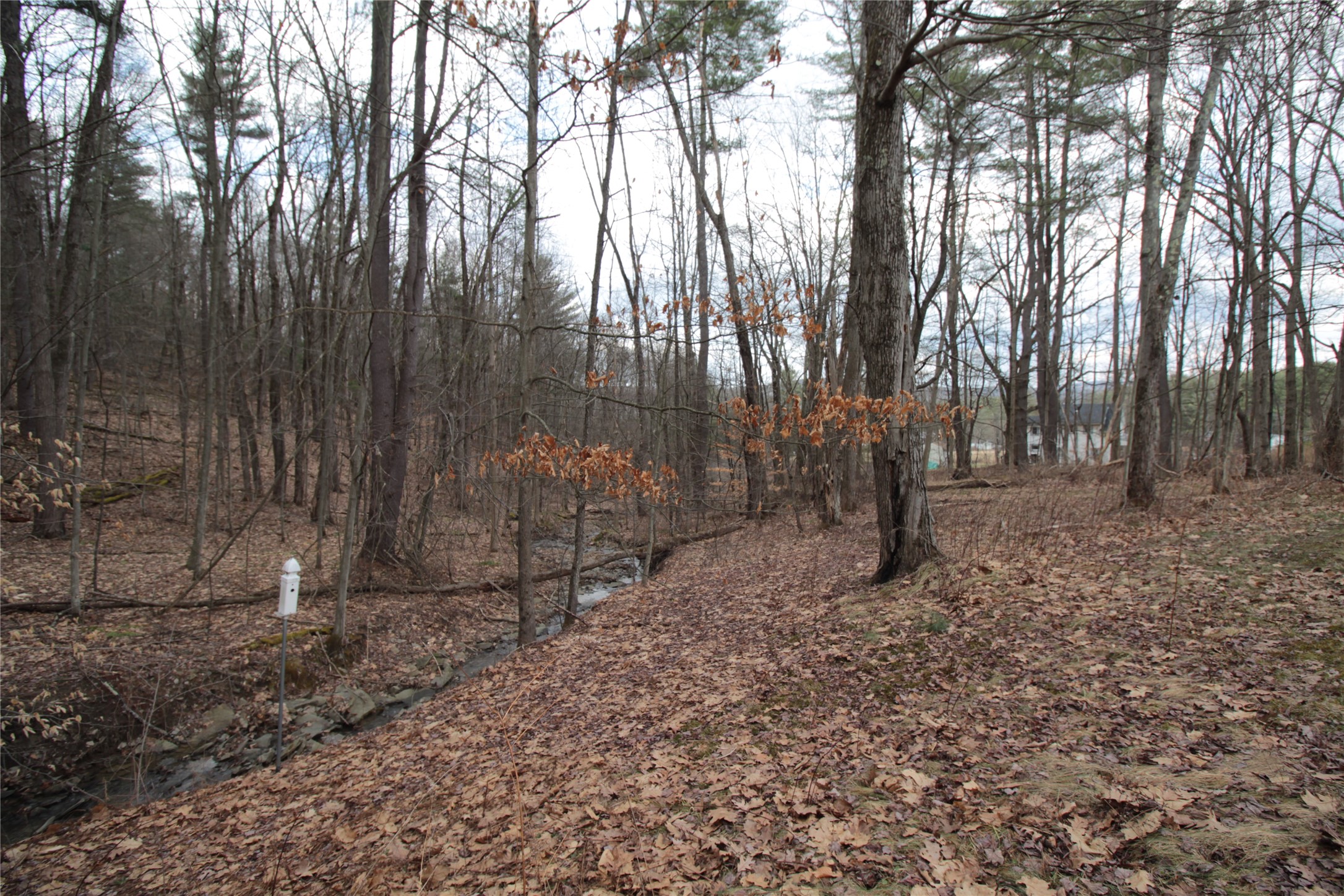 851 Nowlan Road Port Crane, NY 13833 - Photo 45 of 50