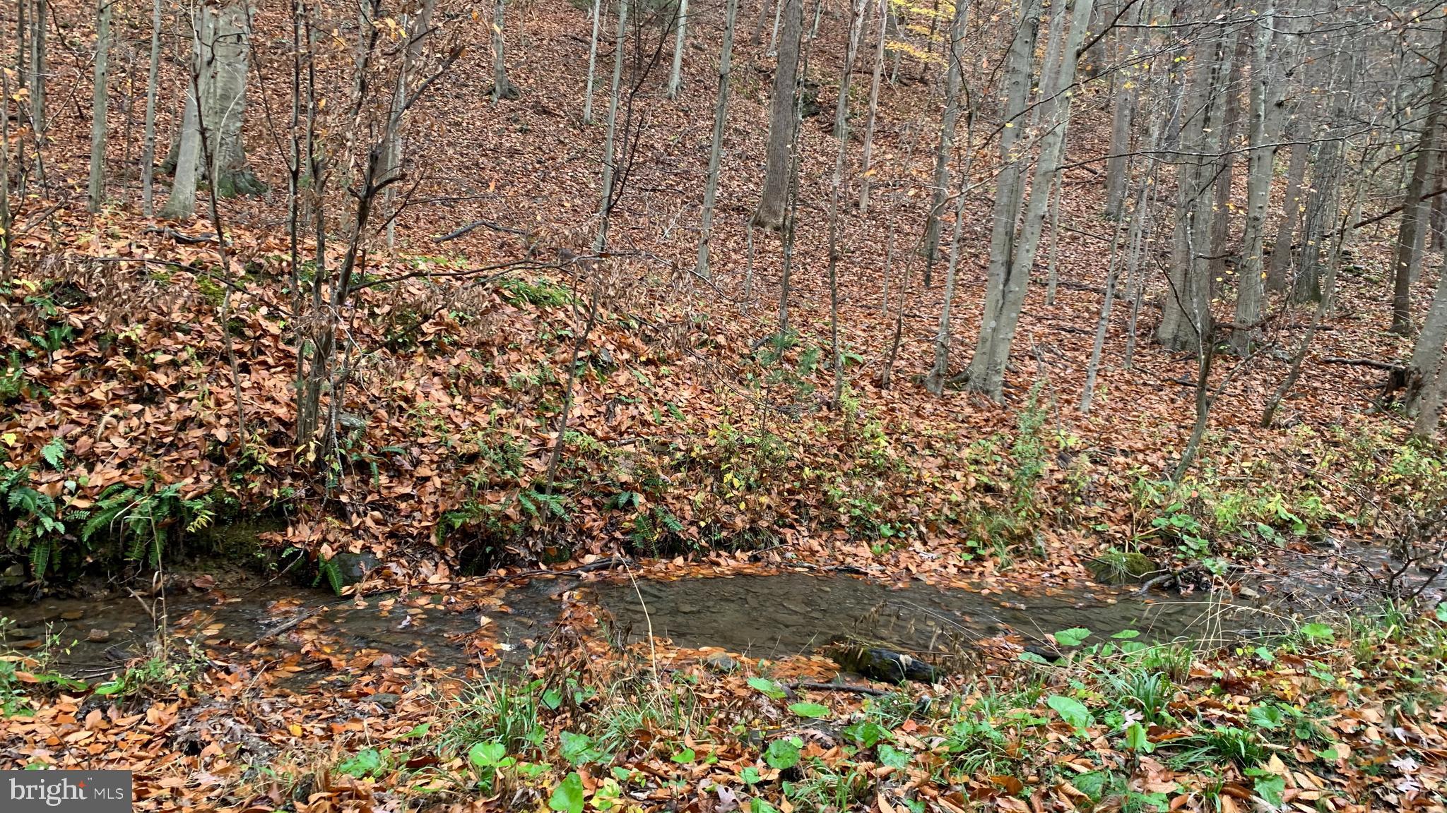 Crooked Run Rd Mount Basye, VA 22810 - Photo 11 of 37