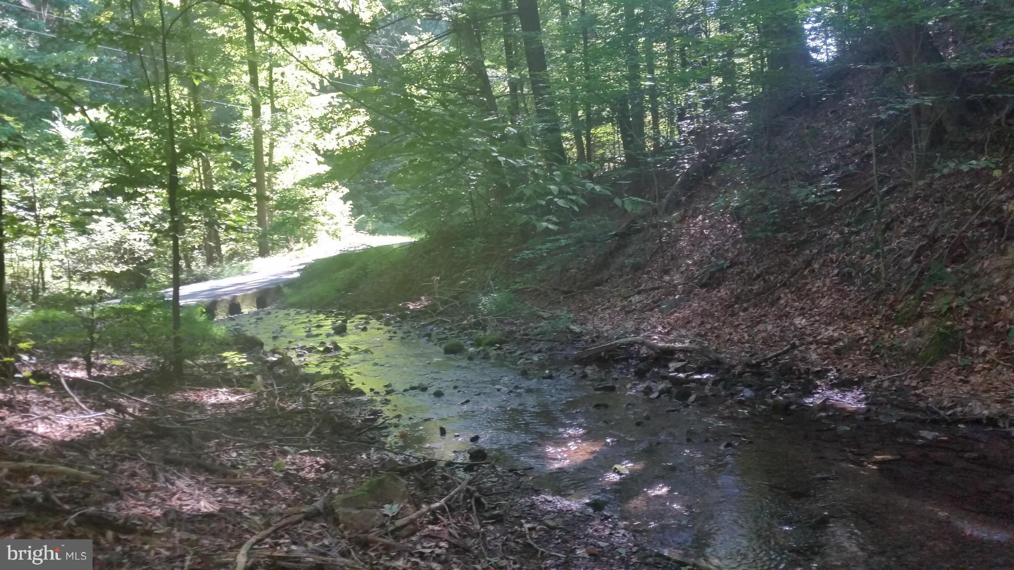 Crooked Run Rd Mount Basye, VA 22810 - Photo 15 of 37 View