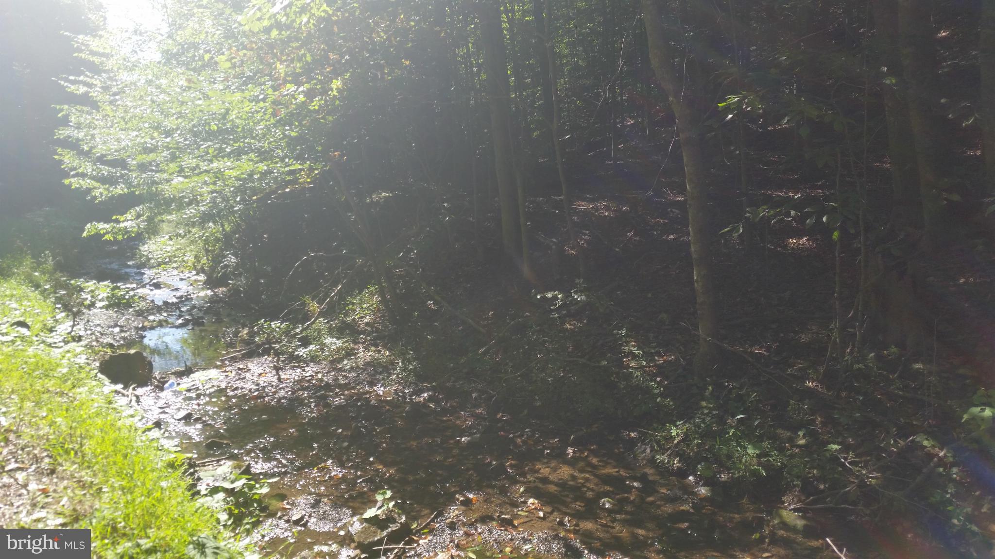 Crooked Run Rd Mount Basye, VA 22810 - Photo 16 of 37 View