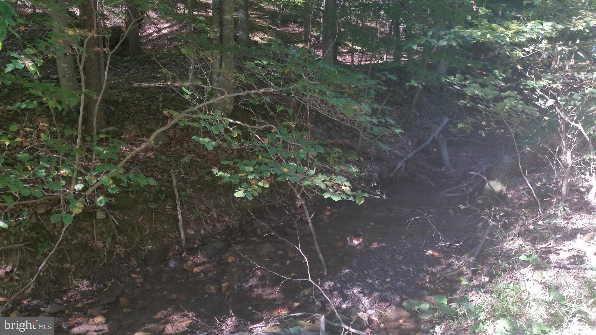 Crooked Run Rd Mount Basye, VA 22810 - Photo 17 of 37 View