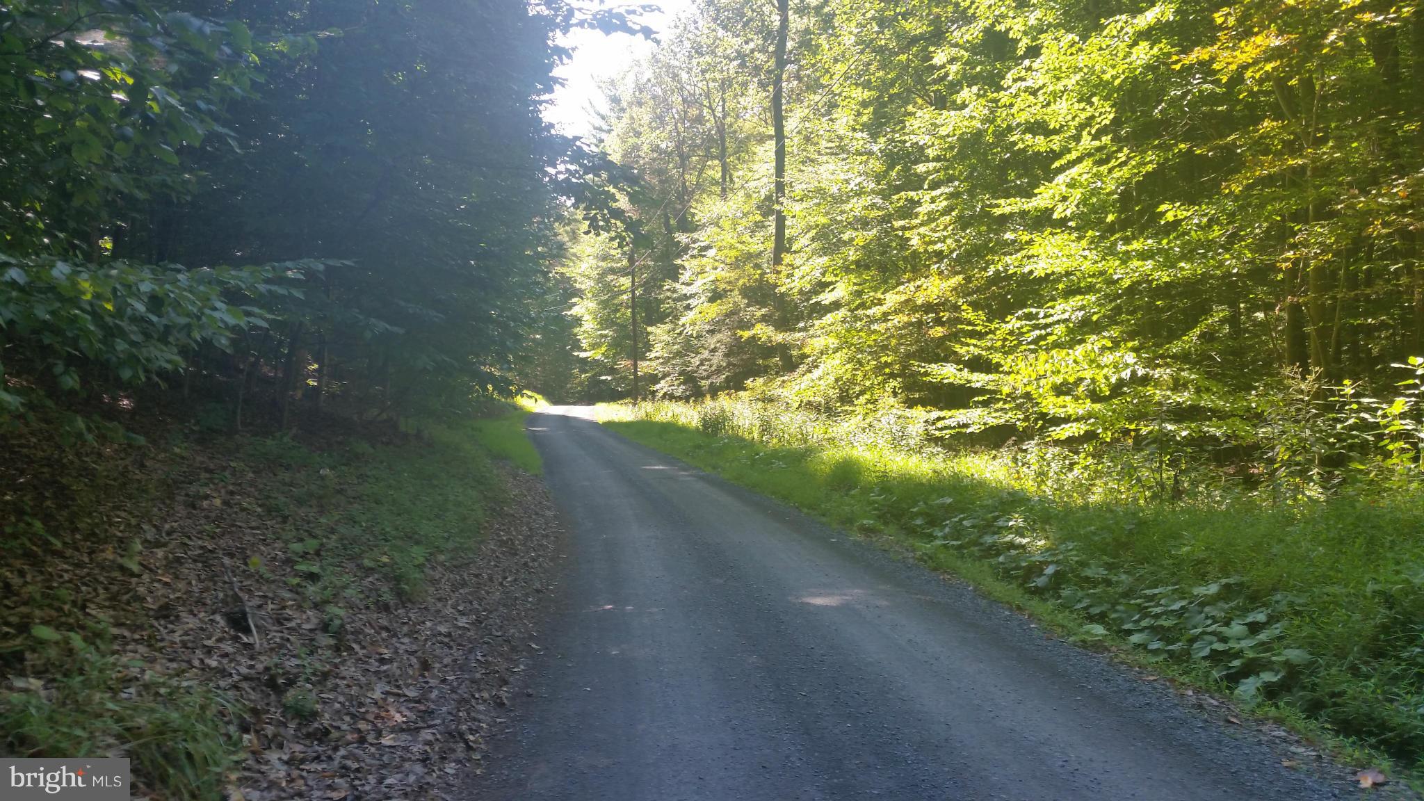 Crooked Run Rd Mount Basye, VA 22810 - Photo 18 of 37 View
