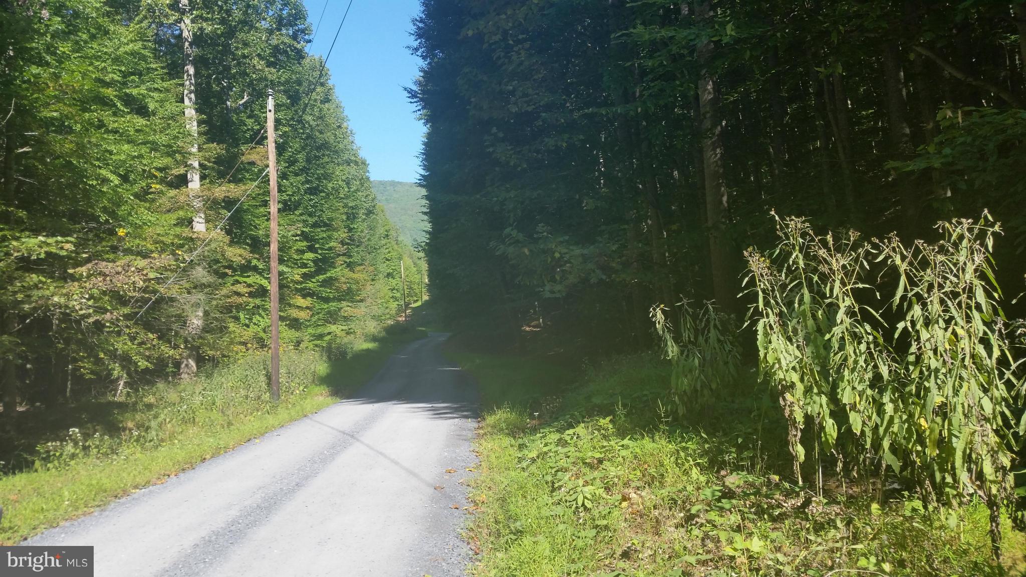 Crooked Run Rd Mount Basye, VA 22810 - Photo 20 of 37 View
