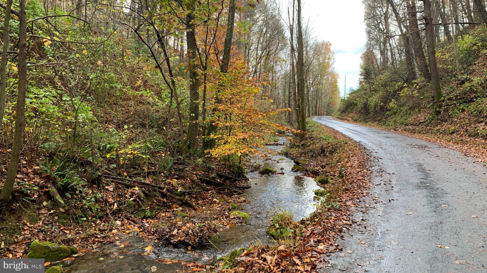 Crooked Run Rd Mount Basye, VA 22810 - Photo 2 of 37